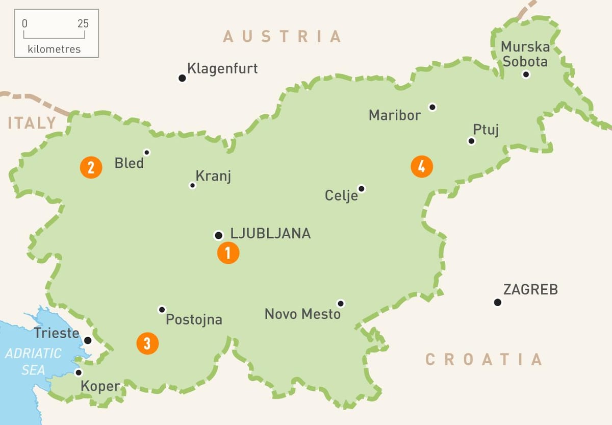 Карта Словенії регіонів